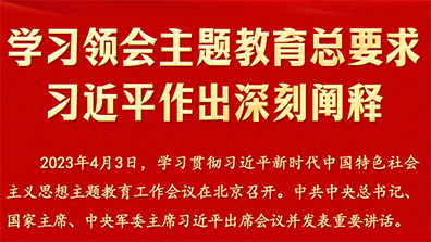 學(xué)習(xí)領(lǐng)會(huì)主題教育總要求習(xí)近平做出深刻闡釋